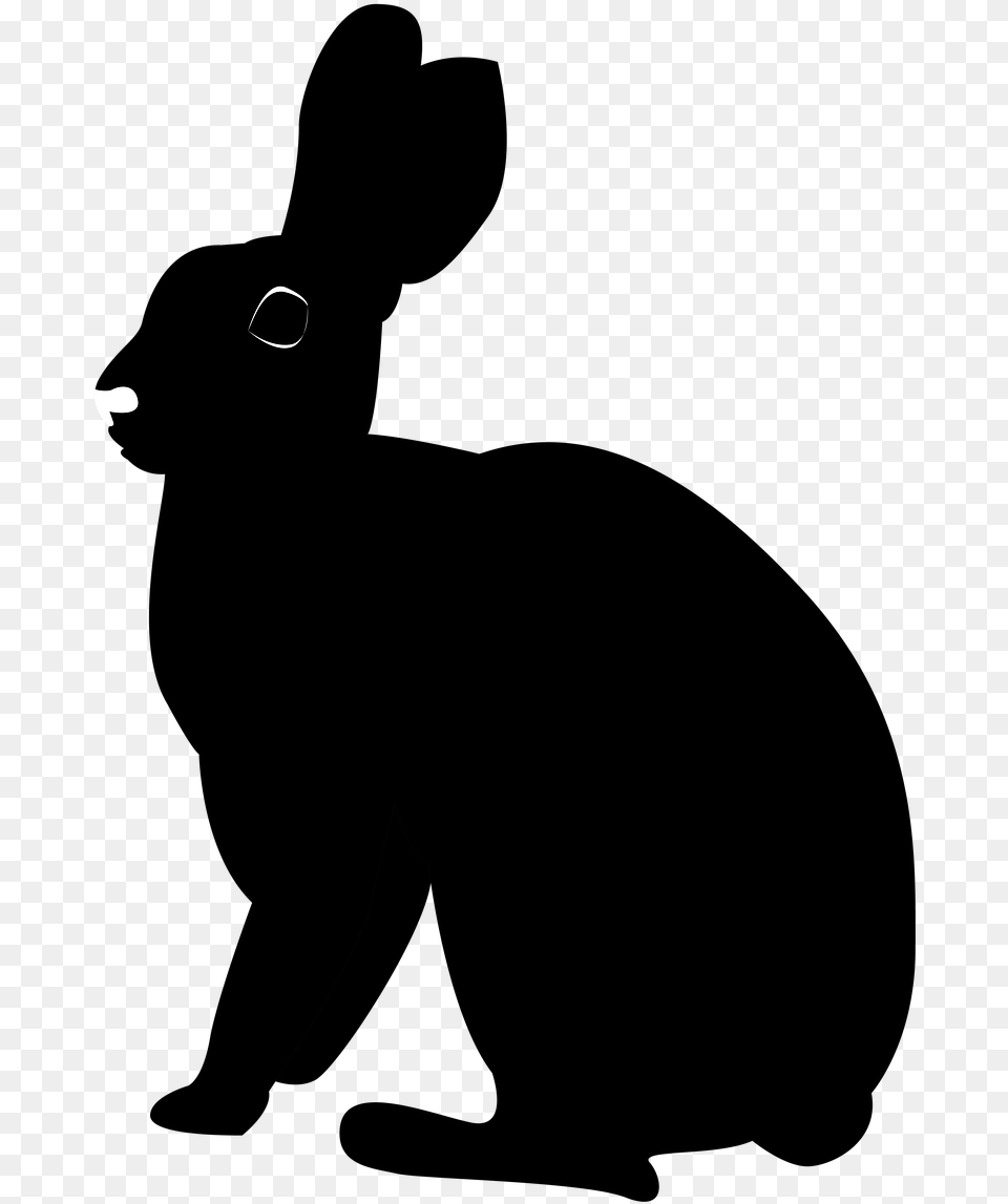 Pictures Animal Silhouette, Lighting Free Png
