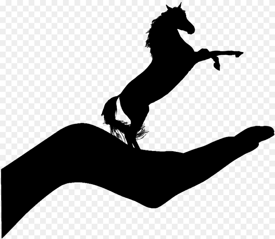 Pictures Horse Caballo Ajedrez Con Sombra, Gray Free Transparent Png