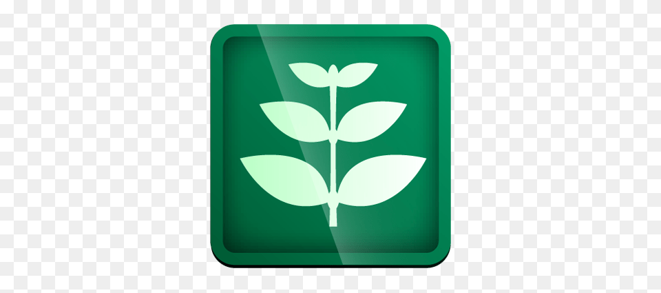 Pictures Of Biomass Clipart, Leaf, Plant, Light, Symbol Free Transparent Png