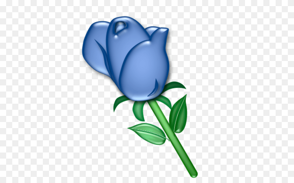 Pictures Of Blue Roses Clipart, Flower, Plant, Rose, Tulip Free Png