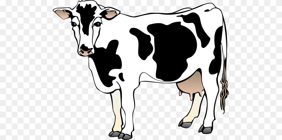Pictures Of Cartoon Cows Group, Animal, Cattle, Cow, Dairy Cow Png Image
