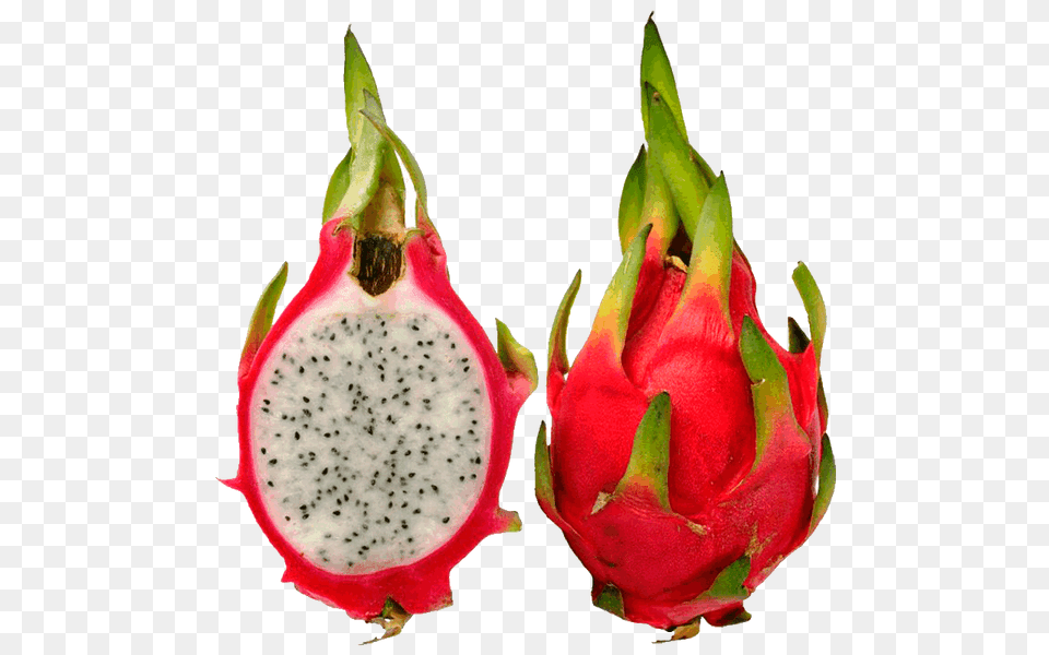 Pictures Of Dragon Fruit Clipart, Food, Plant, Produce, Flower Png