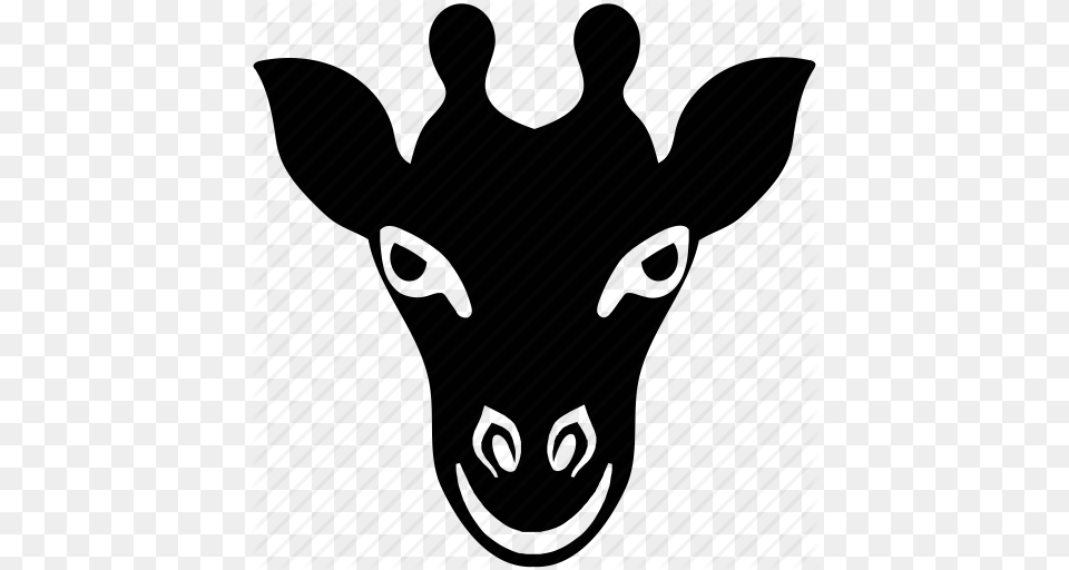 Pictures Of Goat Face, Animal, Deer, Mammal, Wildlife Png