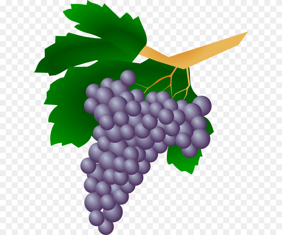 Pictures Of Grapes, Food, Fruit, Plant, Produce Png Image