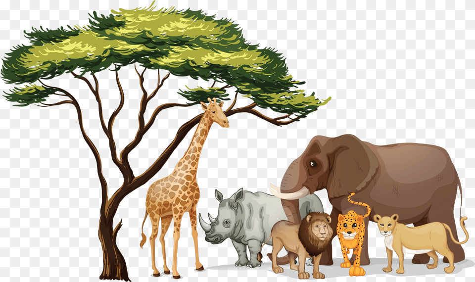 Pictures Of Jungle Animals African Animals Clipart, Animal, Giraffe, Mammal, Wildlife Free Transparent Png