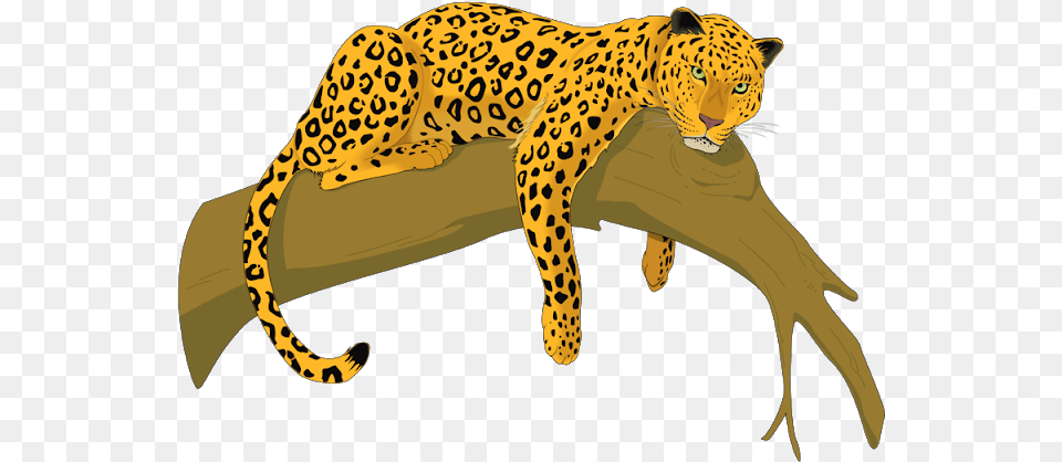 Pictures Of Leopards In Trees Leopardcheetah Jaguar Clipart, Animal, Mammal, Panther, Wildlife Png