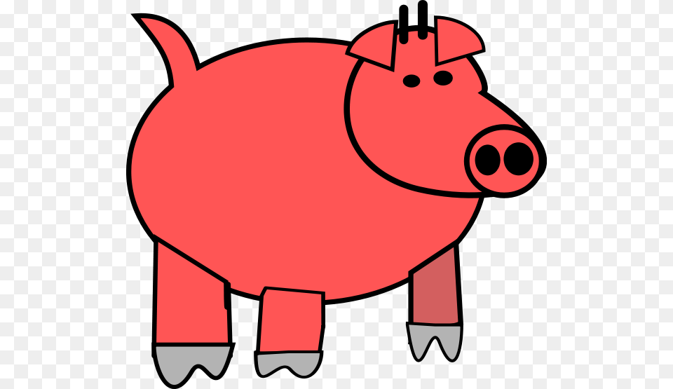 Pictures Of Pig, Animal, Mammal, Bear, Wildlife Png