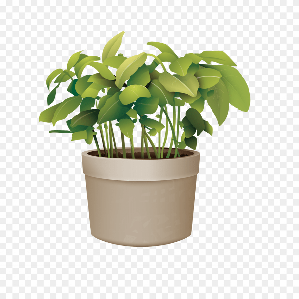 Pictures Of Potted Plants Best Of Flowerpot Plant Vector Potted Plant Transparent Background, Jar, Leaf, Planter, Potted Plant Png