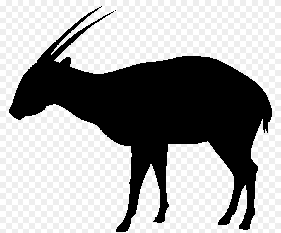 Pictures Of Show Pig Silhouette, Animal, Wildlife, Mammal, Antelope Png