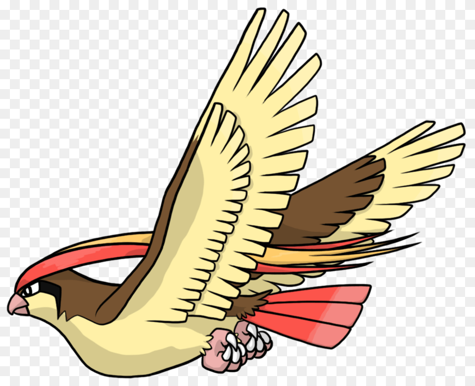 Pidgeot, Animal, Beak, Bird, Person Free Png Download