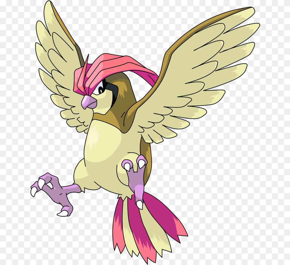 Pidgeot Mi Pokemn Preferido Liga Pokmon Comunid Pidgeotto Pokemon, Baby, Person, Face, Head Free Png Download