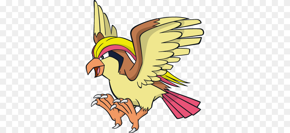 Pidgeot Pidgeot Pokemon, Animal, Beak, Bird, Kangaroo Png