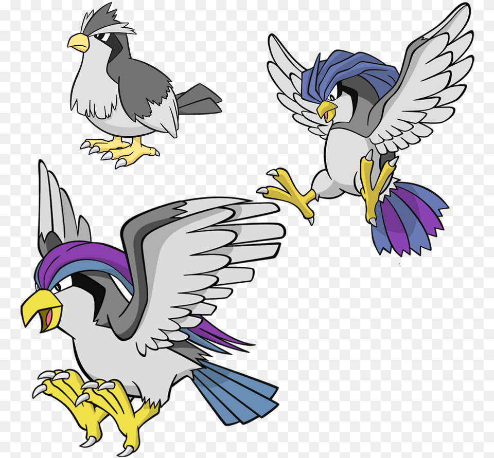 Pidgeot Pokemondb, Animal, Bird, Jay, Flying Free Png Download