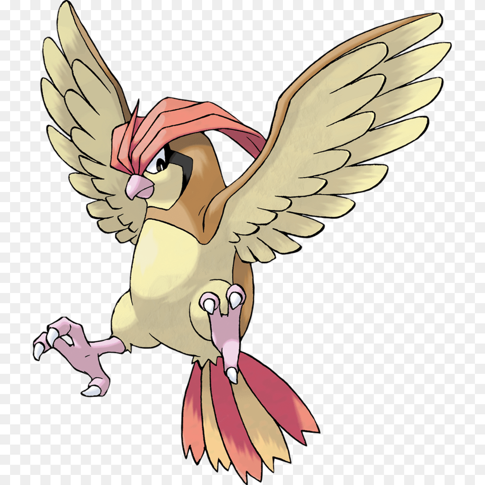 Pidgeotto, Baby, Person, Face, Head Png Image
