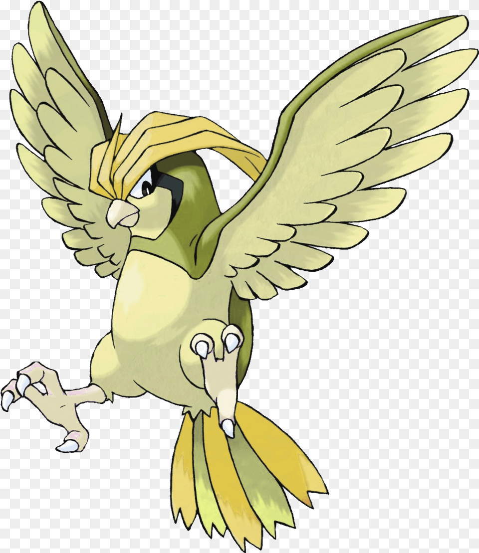 Pidgeotto Shiny Peugeot Pokemon, Baby, Person, Animal, Face Png