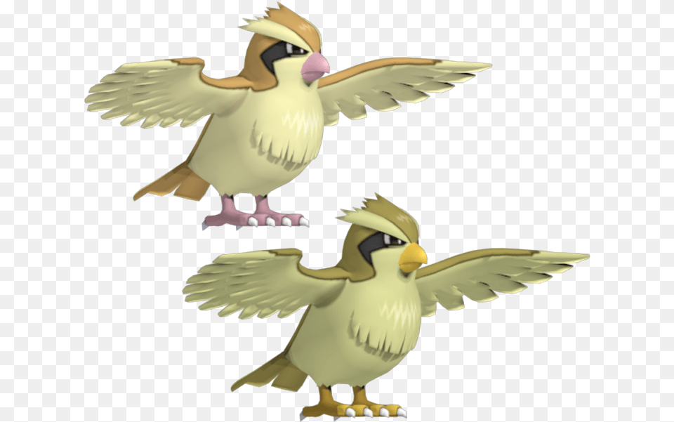 Pidgey, Animal, Bird Free Transparent Png