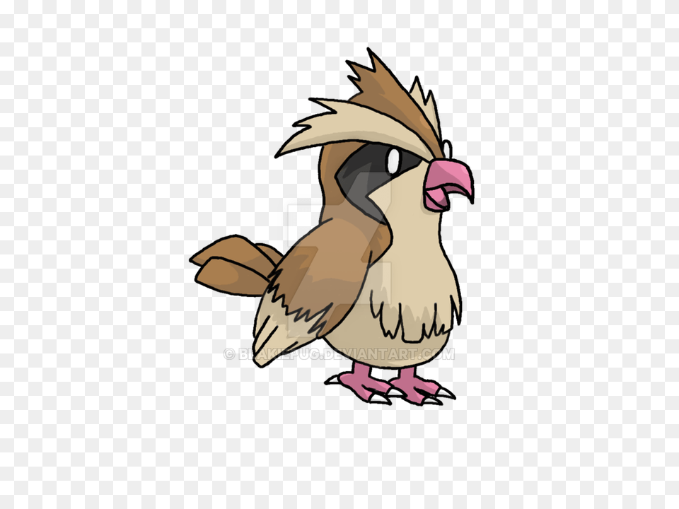 Pidgey, Animal, Bird, Quail, Baby Free Png Download