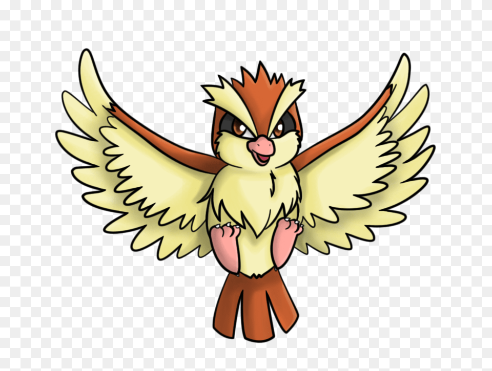 Pidgey, Face, Head, Person, Baby Png Image