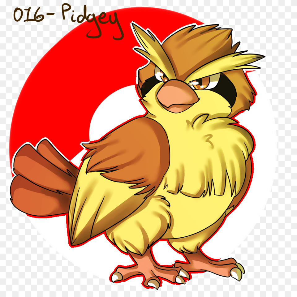 Pidgey, Animal, Beak, Bird, Baby Free Transparent Png