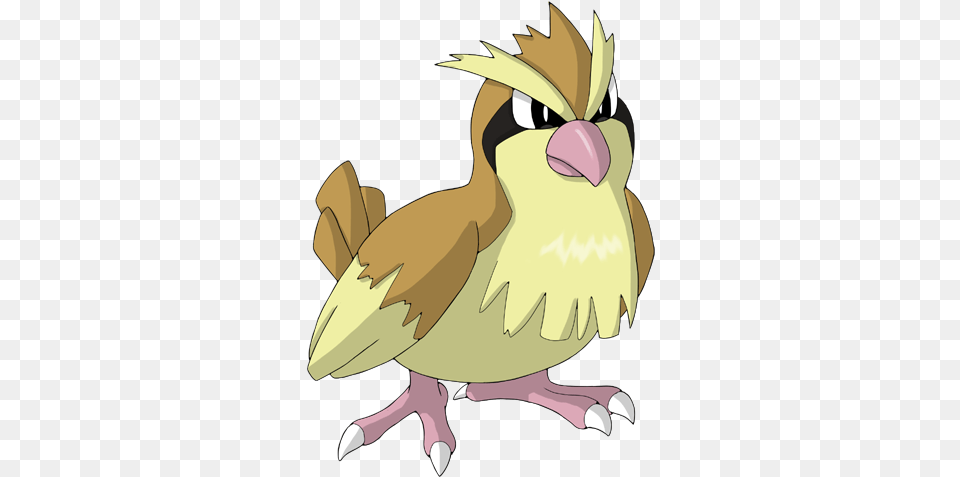 Pidgey 5 Image Pokemon Pidgey, Animal, Beak, Bird, Vulture Free Png