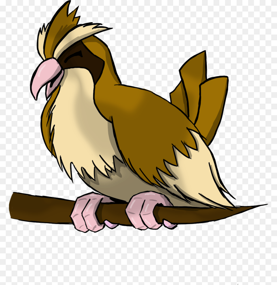 Pidgey, Animal, Beak, Bird, Quail Png Image