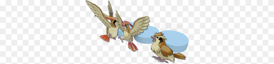 Pidgey Pidgeotto And Pidgeot Paper Pokemon Pidgey, Animal, Bird, Fish, Sea Life Png Image