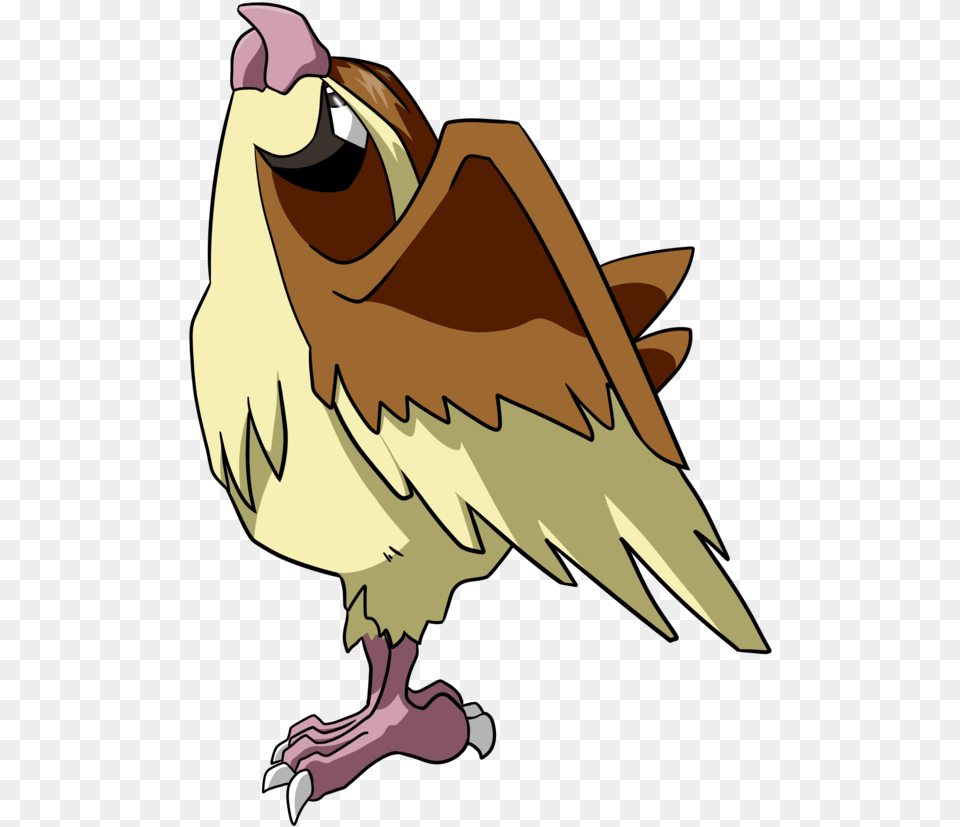 Pidgey Pidgey Pidgey, Animal, Beak, Bird, Vulture Png