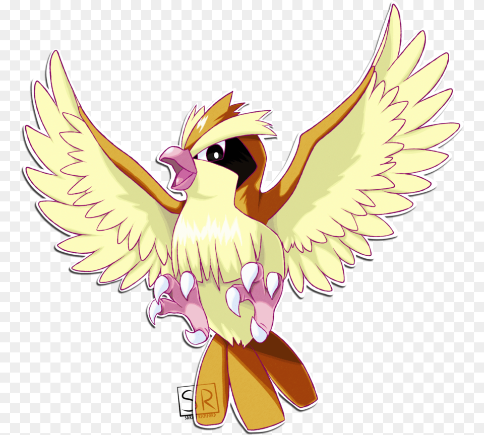 Pidgey Pidgey Background, Animal, Bird, Chicken, Fowl Free Transparent Png