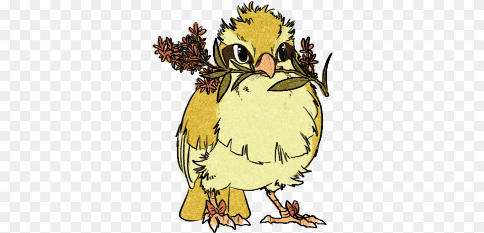 Pidgey Sun And Moon Pokemon Fan Art, Animal, Beak, Bird, Baby Free Transparent Png