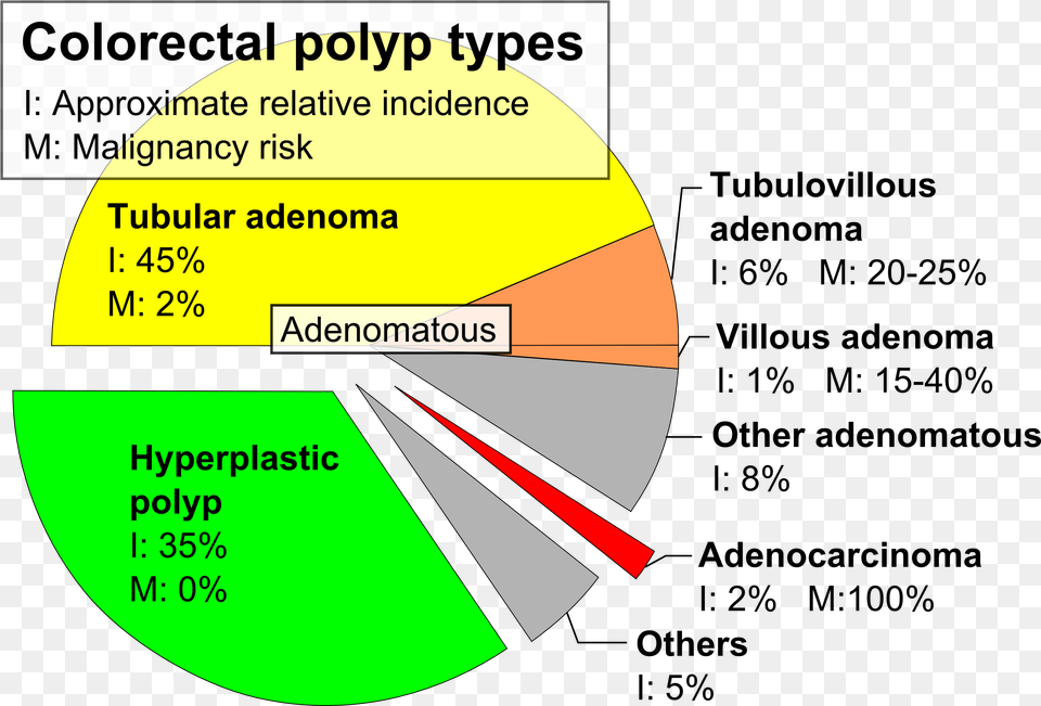 Pie Chart Of Colorectal Polyp Etiologies Colon Polyp Type, Disk, Pie Chart Png