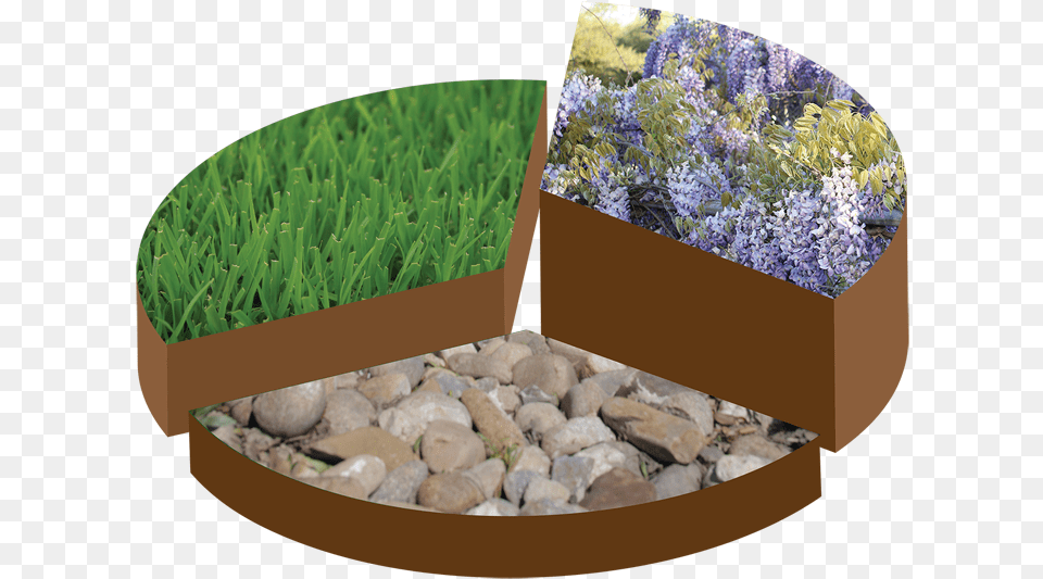 Pie Chart Rule Of Thirds Texas, Flower, Grass, Plant, Pebble Png