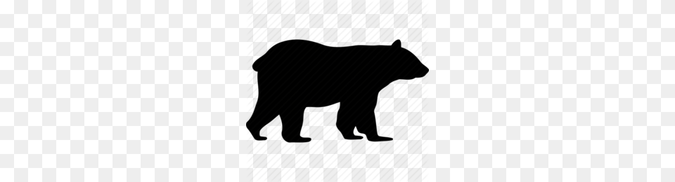 Piece Clipart, Animal, Wildlife, Bear, Mammal Free Png