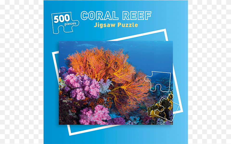 Piece Coral Reefs Jigsaw Puzzle, Animal, Coral Reef, Nature, Outdoors Png Image