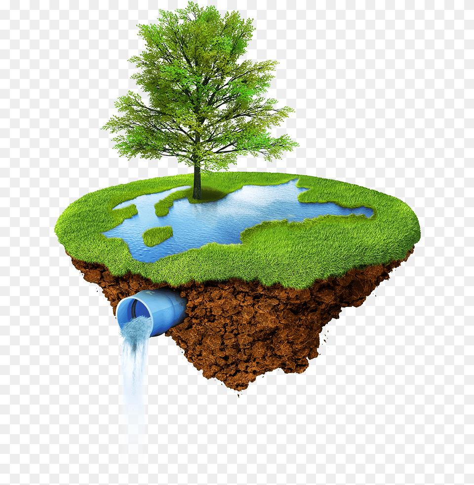 Piece Of Land, Plant, Water, Nature, Tree Png