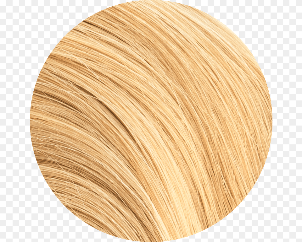 Piece Tape In Pack Blond, Wood, Photography, Home Decor, Plywood Free Png Download
