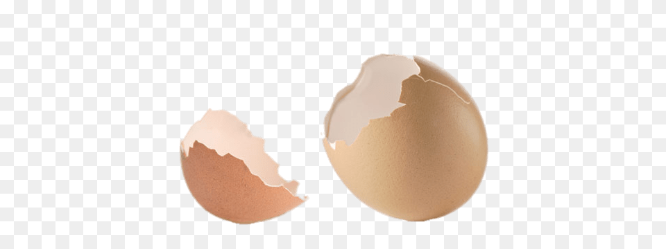 Pieces Of Eggshell, Egg, Food Free Png Download