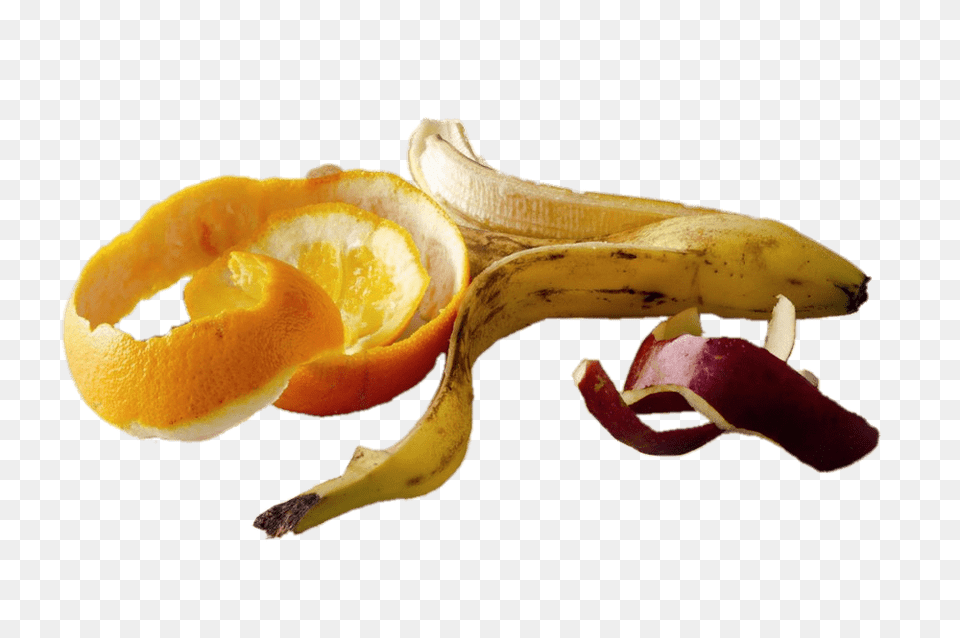 Piel De Frutas Transparente, Peel, Banana, Food, Fruit Free Png