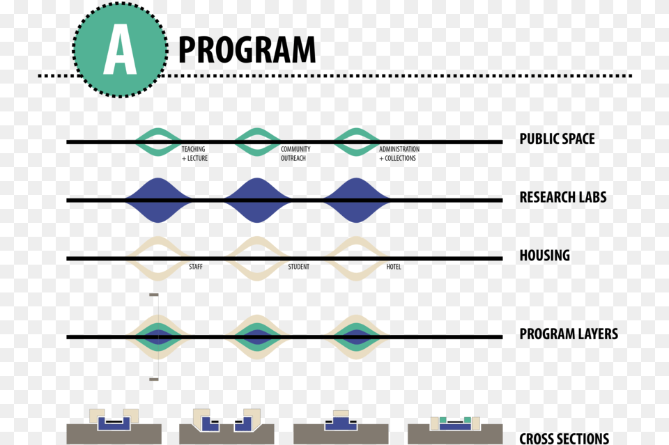 Pier Regeneration Begins With The Typology Of A Public, Person, Face, Head, Accessories Free Png