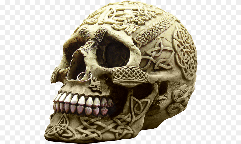 Pierced Celtic Tribal Skull Nose On A Skull, Adult, Bride, Female, Person Free Transparent Png