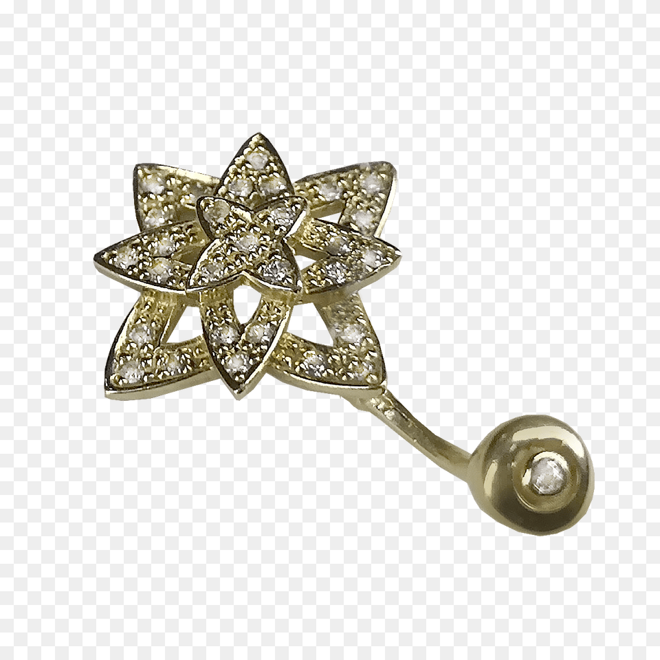 Piercing, Accessories, Jewelry, Brooch, Earring Png Image