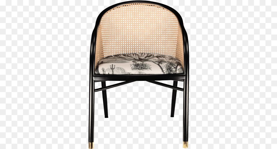 Pierre Frey Cane Chairs, Chair, Furniture, Armchair Free Transparent Png