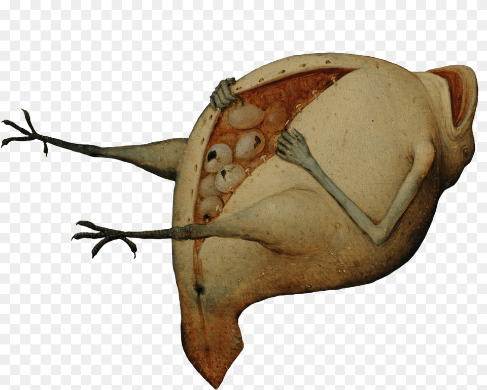 Pieter Bruegel, Animal, Invertebrate, Sea Life, Seashell Free Png Download