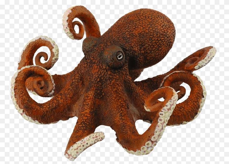 Pieuvre Jouet, Animal, Sea Life, Invertebrate, Octopus Free Transparent Png