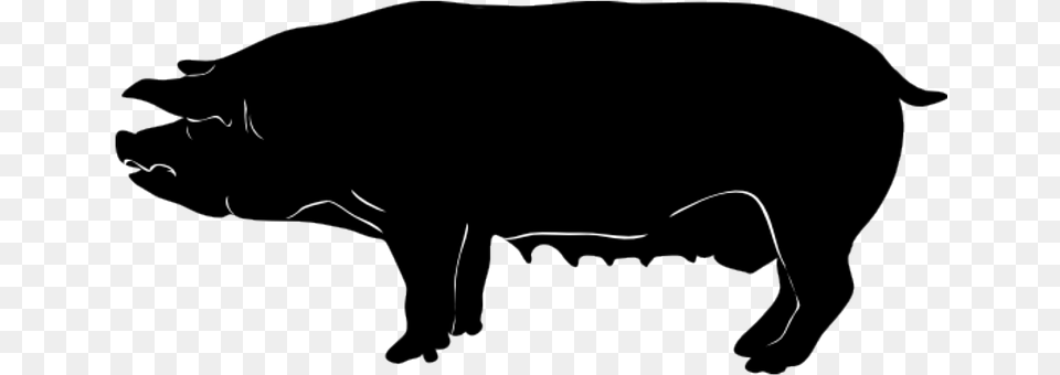 Pig Animal, Boar, Hog, Mammal Free Png Download