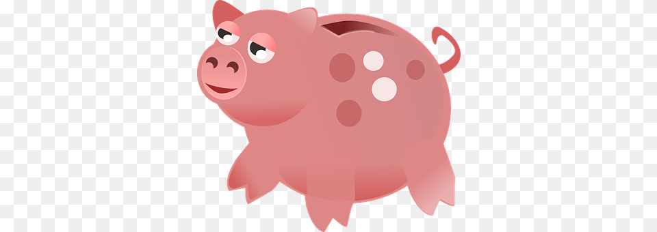 Pig Piggy Bank, Animal, Bear, Mammal Free Png Download