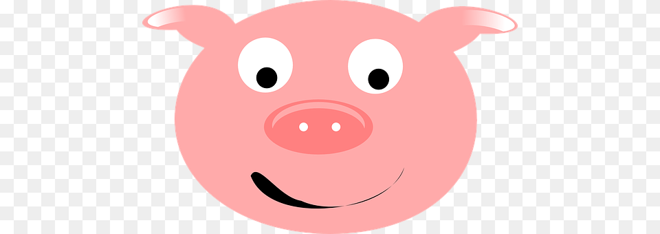 Pig Animal, Mammal Free Transparent Png