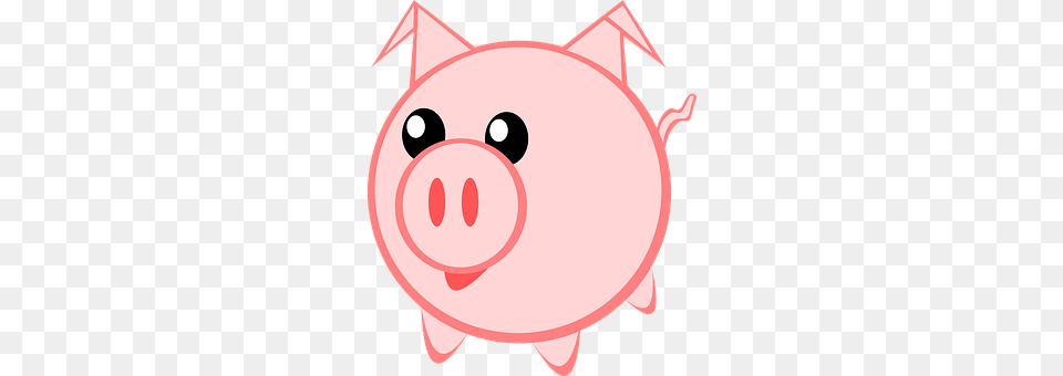 Pig Piggy Bank Png