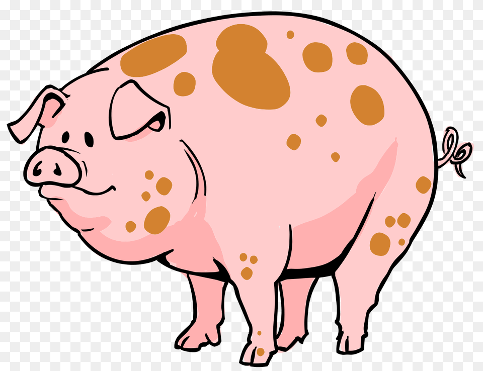 Pig, Animal, Mammal, Hog, Head Free Transparent Png