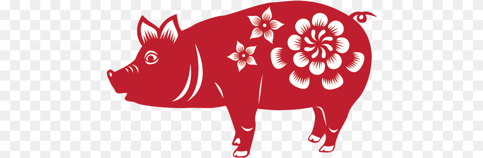 Pig 2019 2007 1995 1983 1971 Chinese New Year Pig, Animal, Mammal, Bear, Wildlife Free Png Download