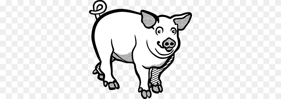 Pig Animal, Mammal, Hog, Kangaroo Free Png